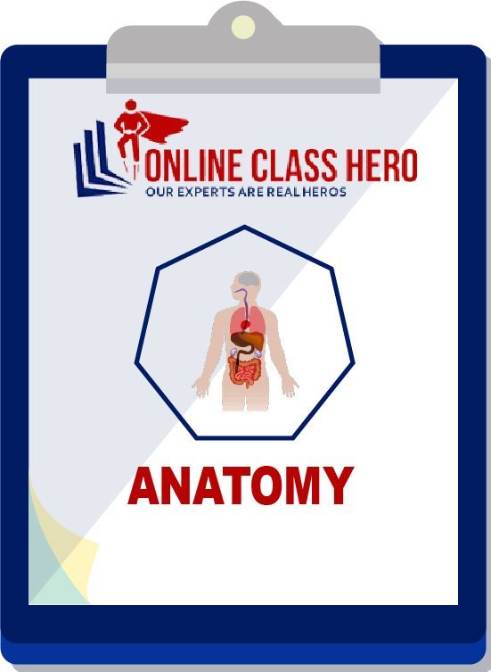 Anatomy